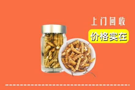 金堂县回收散虫草
