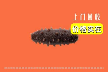 金堂县回收海参