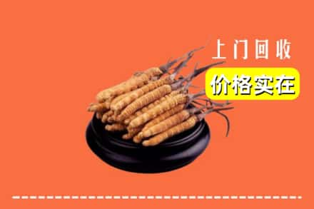 金堂县回收冬虫夏草